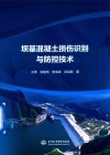 坝基混凝土损伤识别与防控技术封面