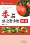 蔬菜病虫害诊治丛书  番茄病虫害诊治图谱