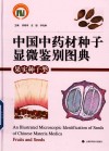 中国中药材种子显微鉴别图典果实种子类