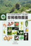 伏牛山国家级自然保护区（黄石庵段）珍稀植物图鉴