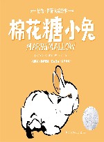 星光国际大奖绘本  棉花糖小兔 封面