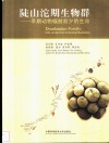 陡山沱期生物群  早期动物辐射前夕的生命封面