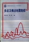 多波及横波地震勘探封面