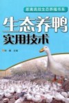 生态养鸭实用技术