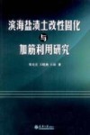 滨海盐渍土改性固化与加筋利用研究