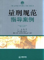 量刑规范指导案例 封面