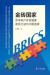 金砖国家资本账户开放强度差异之谜与中国选择