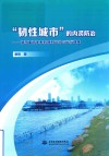 韧性城市的内涝防治  城市蓄涝体系的规划设计与运行调度 封面