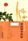 大美本草  身边的中药材 封面
