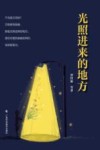 光照进来的地方封面