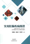 实用肛肠疾病图谱