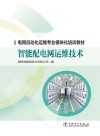 电网自动化运维专业模块化培训教材  智能配电网运维技术