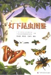 灯下昆虫图鉴