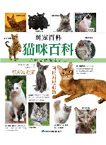 猫咪百科