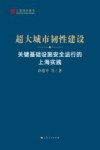 超大城市韧性建设  关键基础设施安全运行的上海实践