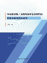 导电聚合物无机物纳米复合材料的制备及催化性质研究 电子书封面