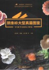 秘境阴条岭生物多样性丛书  阴条岭大型真菌图鉴封面