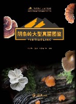 秘境阴条岭生物多样性丛书  阴条岭大型真菌图鉴