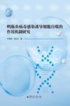 鸭肠炎病毒感染诱导细胞自噬的作用机制研究 封面