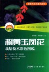 橙黄玉凤花栽培技术彩色图说封面