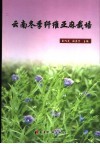 云南冬季纤维亚麻栽培封面