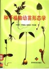 种子植物幼苗形态学