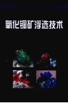 氧化铜矿浮选技术 封面