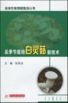 反季节栽培白灵菇新技术