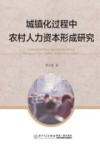 城镇化过程中农村人力资本形成研究