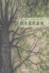 东方文化书系  你在我的森林