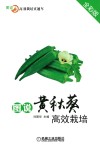 图说黄秋葵高效栽培  全彩版封面