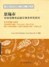 智微园大学生科技服务团“协同育人”系列丛书  恩施市传统发酵食品微生物多样性研究