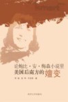 论鲍比·安·梅森小说里美国后南方的嬗变 电子书封面
