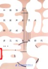 中国现代民族声乐艺术的形成与多元化发展研究