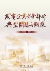 发电企业安全评价典型问题与对策 封面