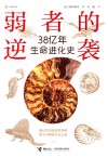 弱者的逆袭