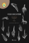 中国石炭纪牙形刺