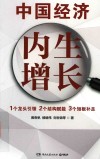 中国经济  内生增长
