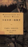 与瓦尔泽一起散步 封面