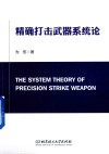 精确打击武器系统论