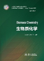 高等院校新能源专业系列教材  生物质化学