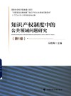 知识产权制度中的公共领域问题研究  第1卷