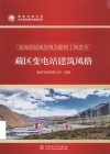 高海拔超高压电力联网工程技术  藏区变电站建筑风格