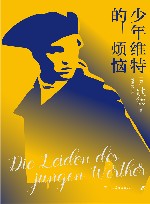少年维特的烦恼 封面