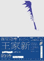 王家新的诗 封面