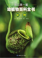 我的第一套动植物百科全书  6  植物 封面