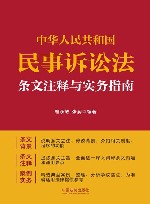 中华人民共和国民事诉讼法条文注释与实务指南
