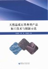 天然晶质石墨典型产品加工技术与创新示范封面