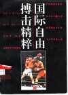 国际自由搏击精粹