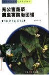 无公害蔬菜病虫害防治图谱  豆类  叶菜类  白菜类